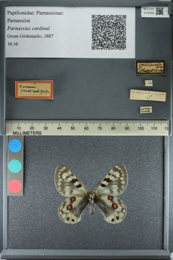 Media type: image;   Entomology 180384